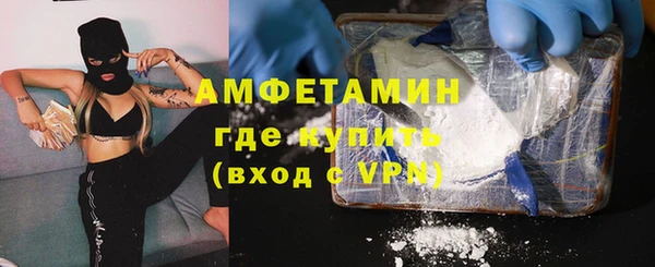 сатива Вязьма