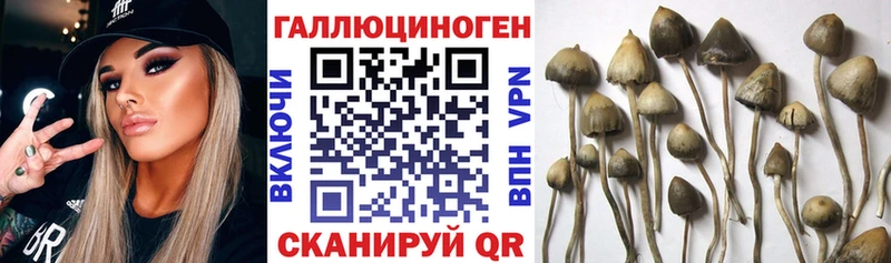 Галлюциногенные грибы Cubensis Поронайск
